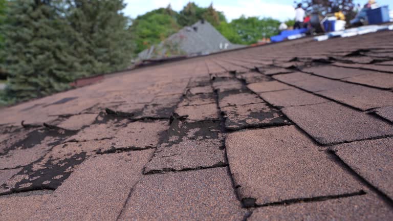 Best Roof Waterproofing  in Lithonia, GA